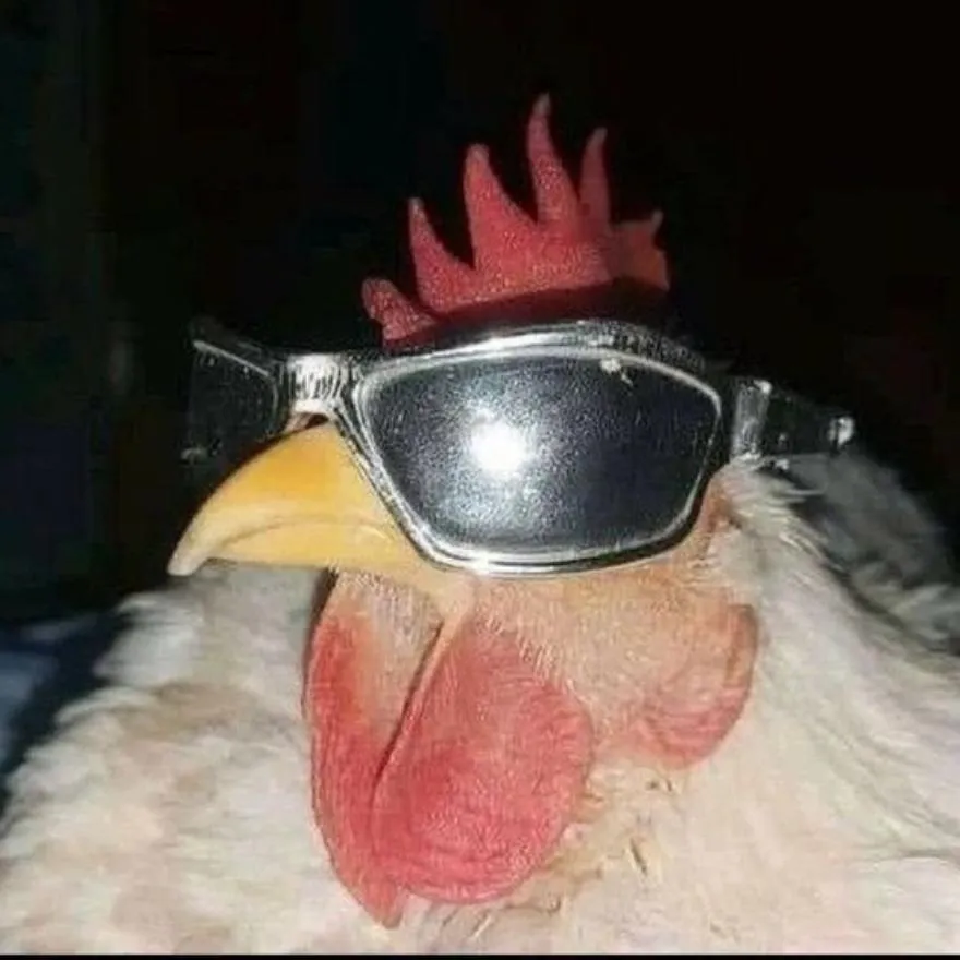 Meme PFP #38