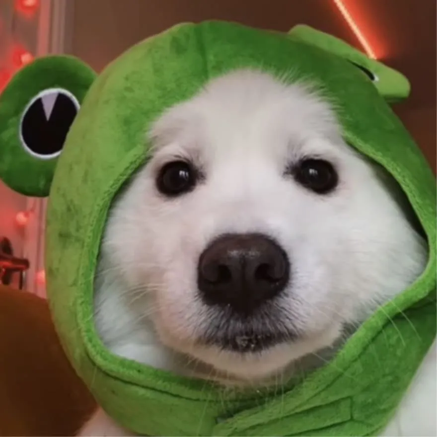 Meme PFP #42 (cute, dog, frog)