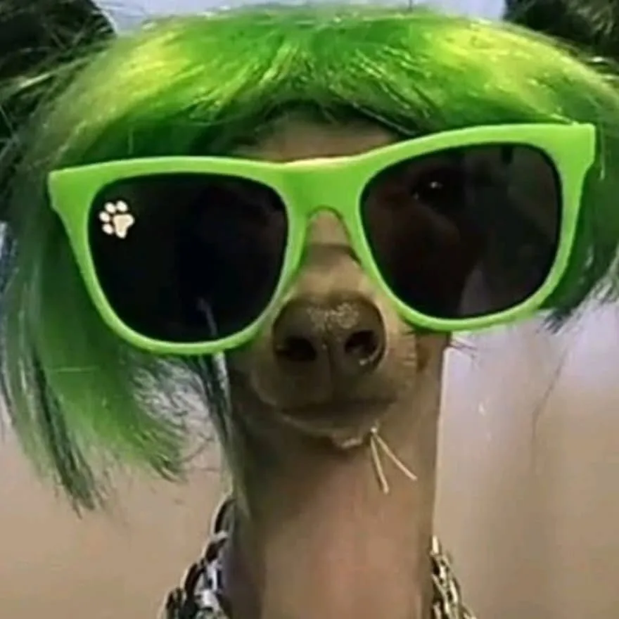 Meme PFP #43 (dog, funny, sunglasses)