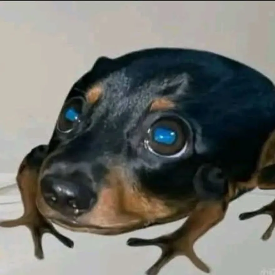 Meme PFP #44 (cursed, dog, frog)