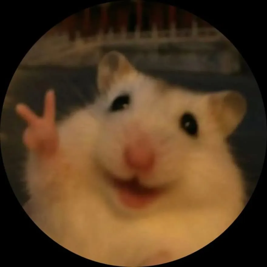 Meme PFP #47 (cute, funny, hamster)