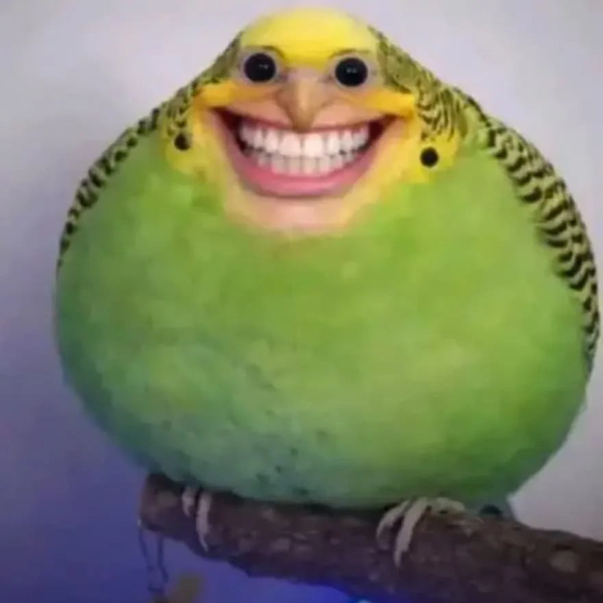 Meme PFP #49 (bird, cursed, funny)