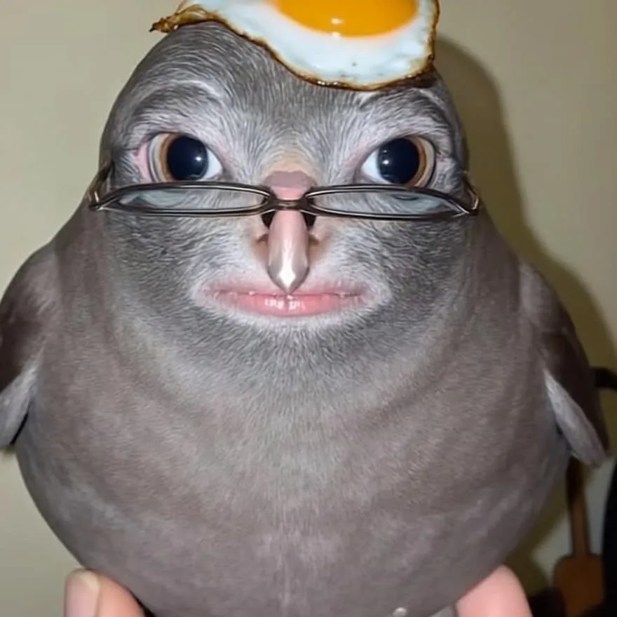 Meme PFP #50 (cursed, glasses, pigeon)