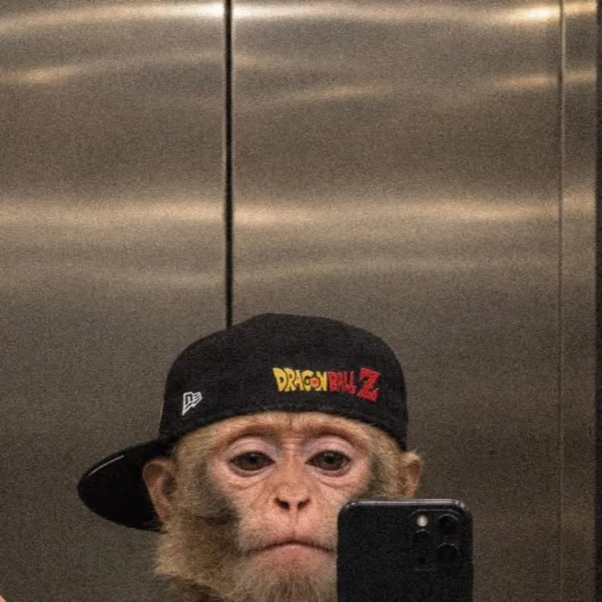 Monkey PFP #20