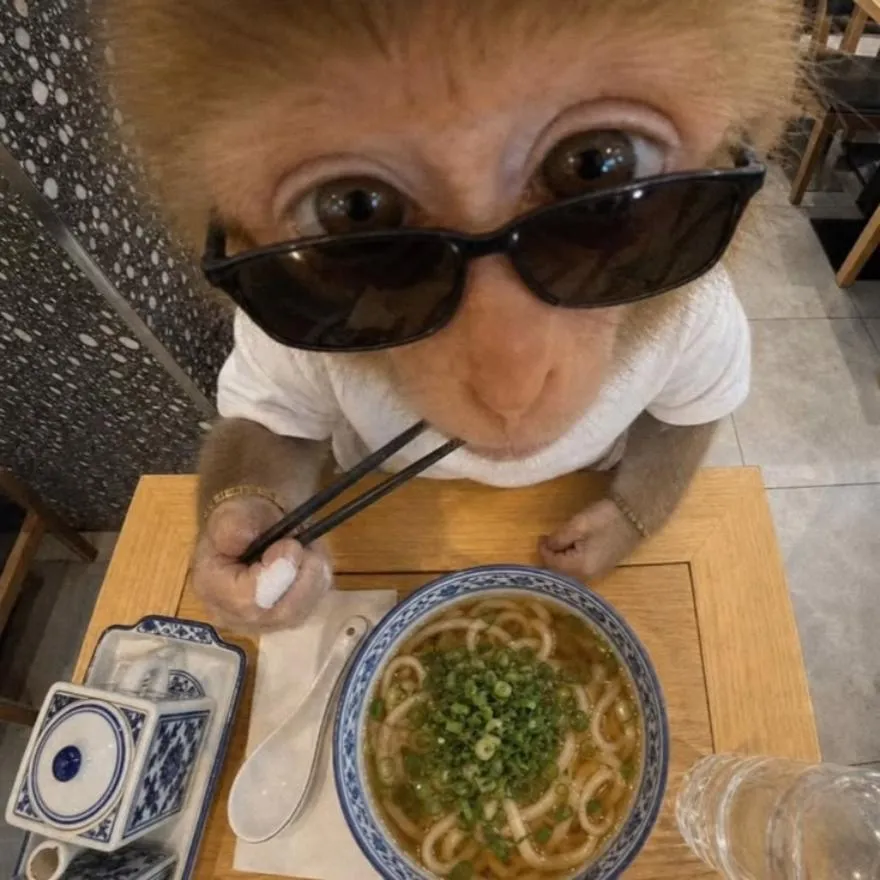 Monkey PFP #21