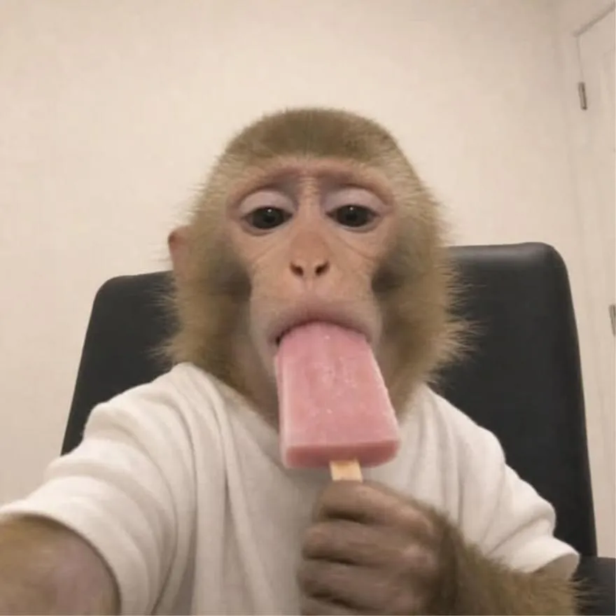 Monkey PFP #22