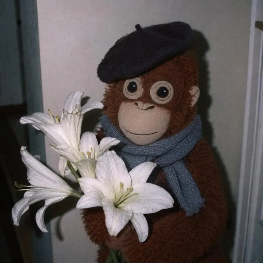Monkey PFP #25