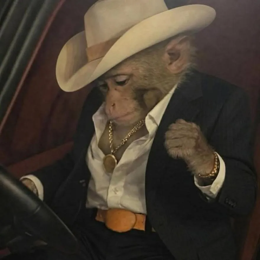 Monkey PFP #30