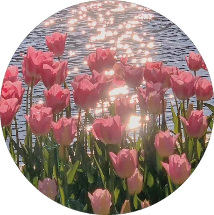 Nature PFP #14 (flower, pink)