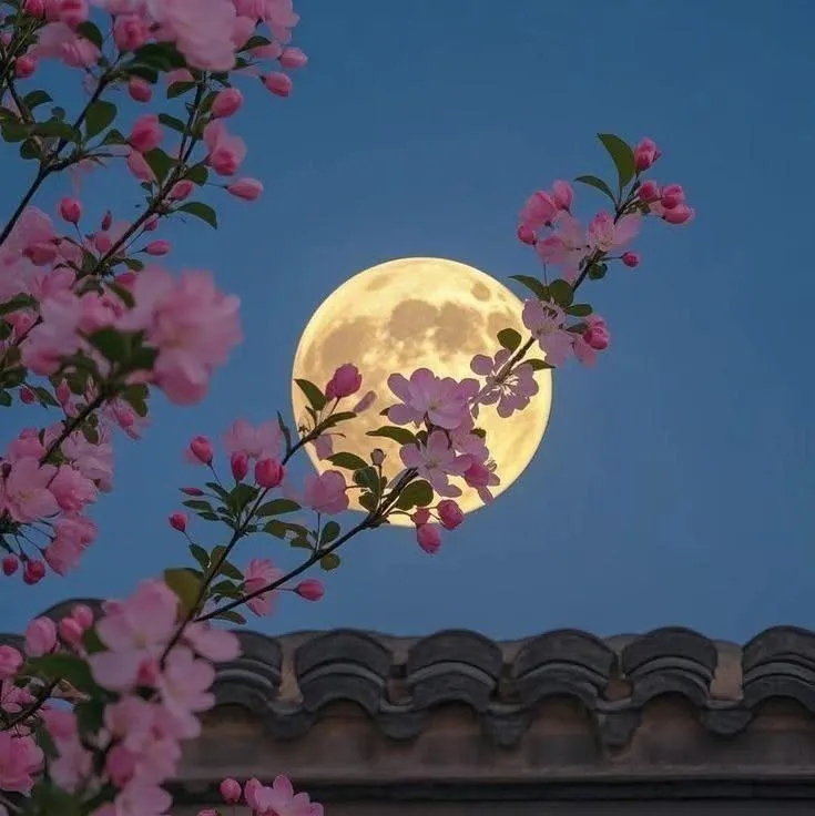 Nature PFP #9 (pink, tree)