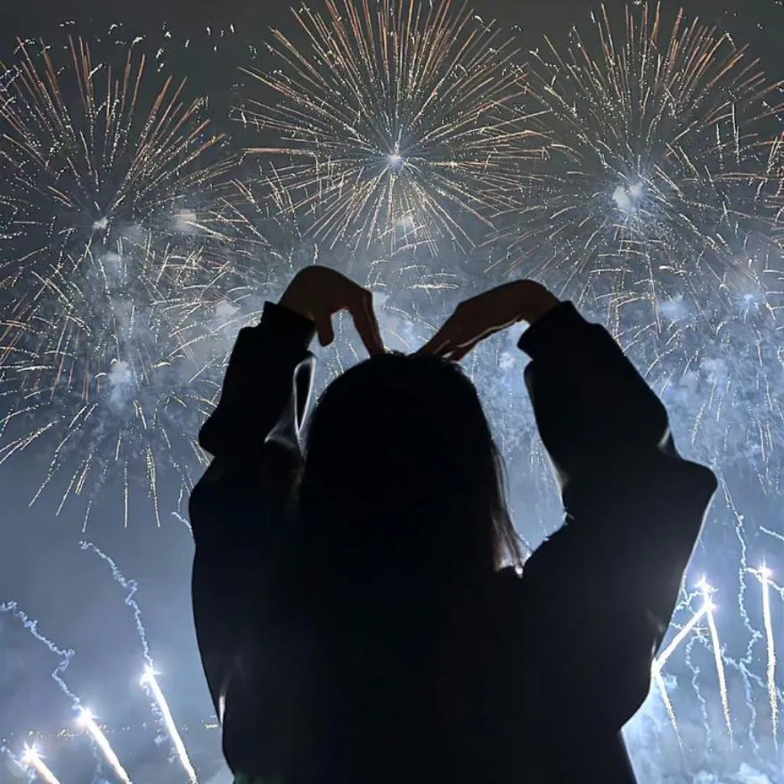 New Year PFP #17 (aesthetic)