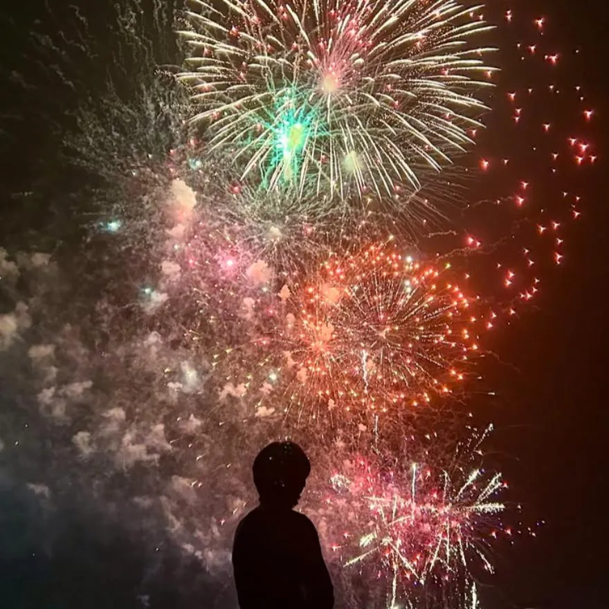 New Year PFP #19 (aesthetic)