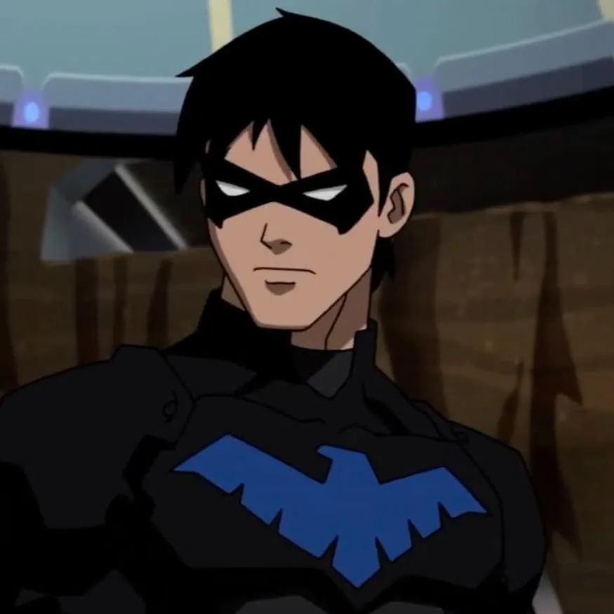 Nightwing PFP #12 (cartoon, young justice)