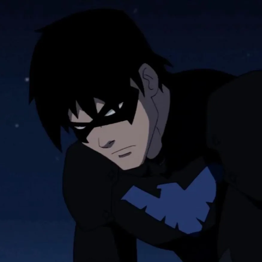 Nightwing PFP #13: Nightwing in his black suit with a blue chest emblem and white eyed mask crouches and looks down against a dark night sky.