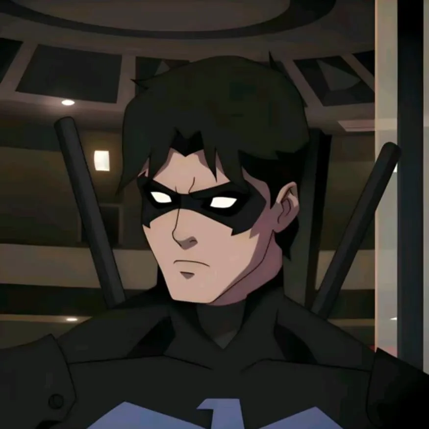 Nightwing PFP #6 (cartoon, dark, young justice)