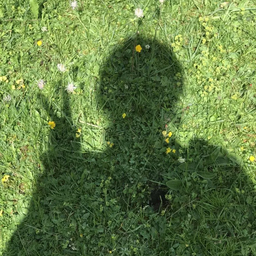No Face PFP #17