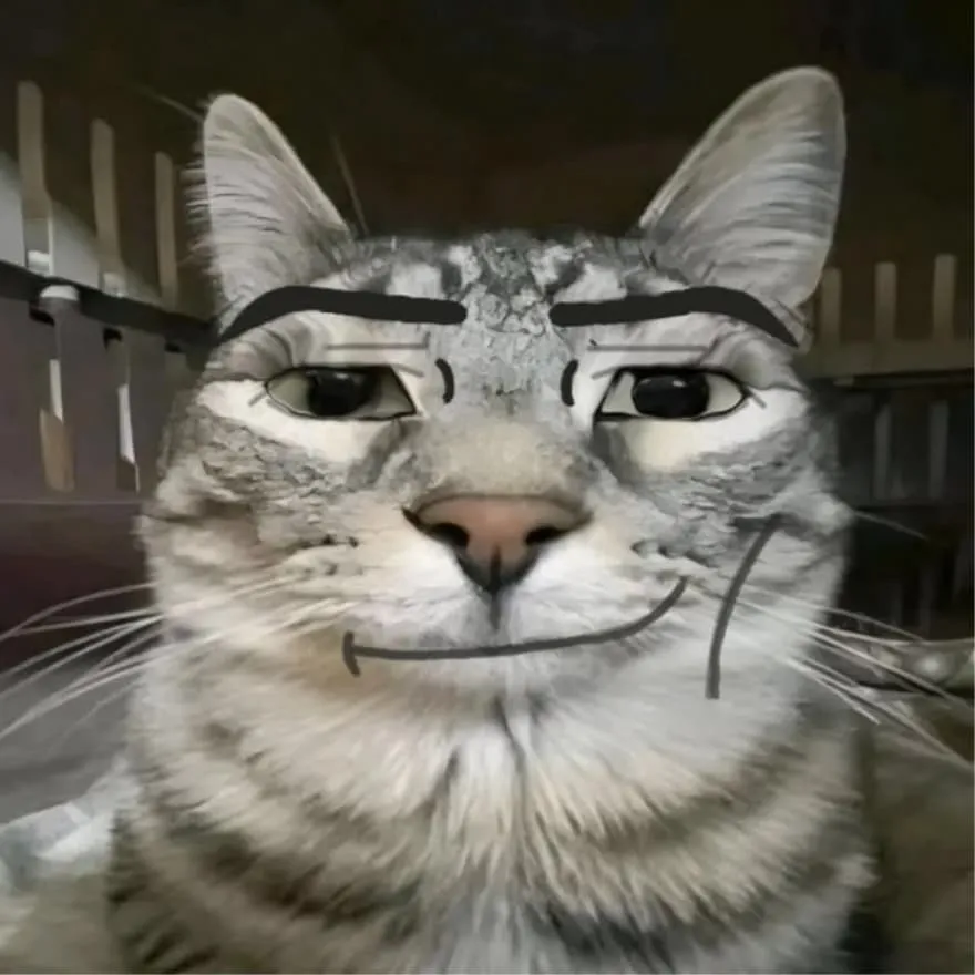 Nonchalant PFP #9 (cat, funny, meme)