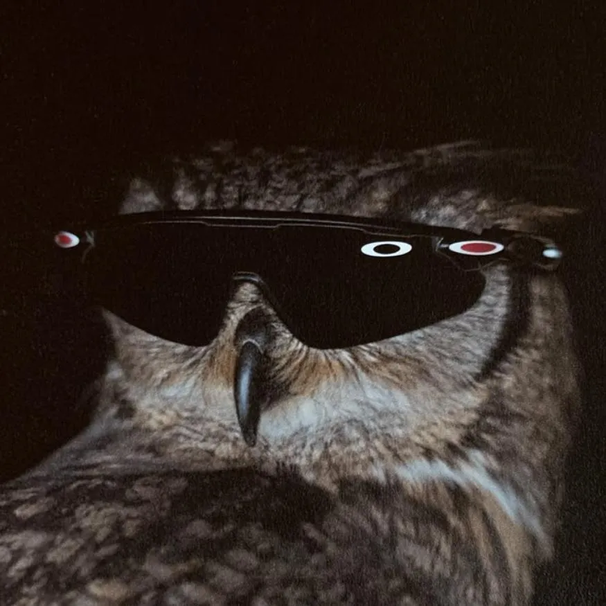 Owl PFP #15: A grey owl wears dark wraparound sports sunglasses with red and white logos, its curved beak poking out against a black background.