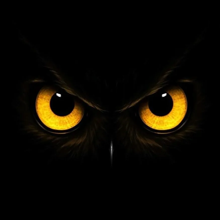 Owl PFP #17: Two glowing yellow owl eyes with black pupils stare out of a pitch black background, with only faint feathers visible around them.
