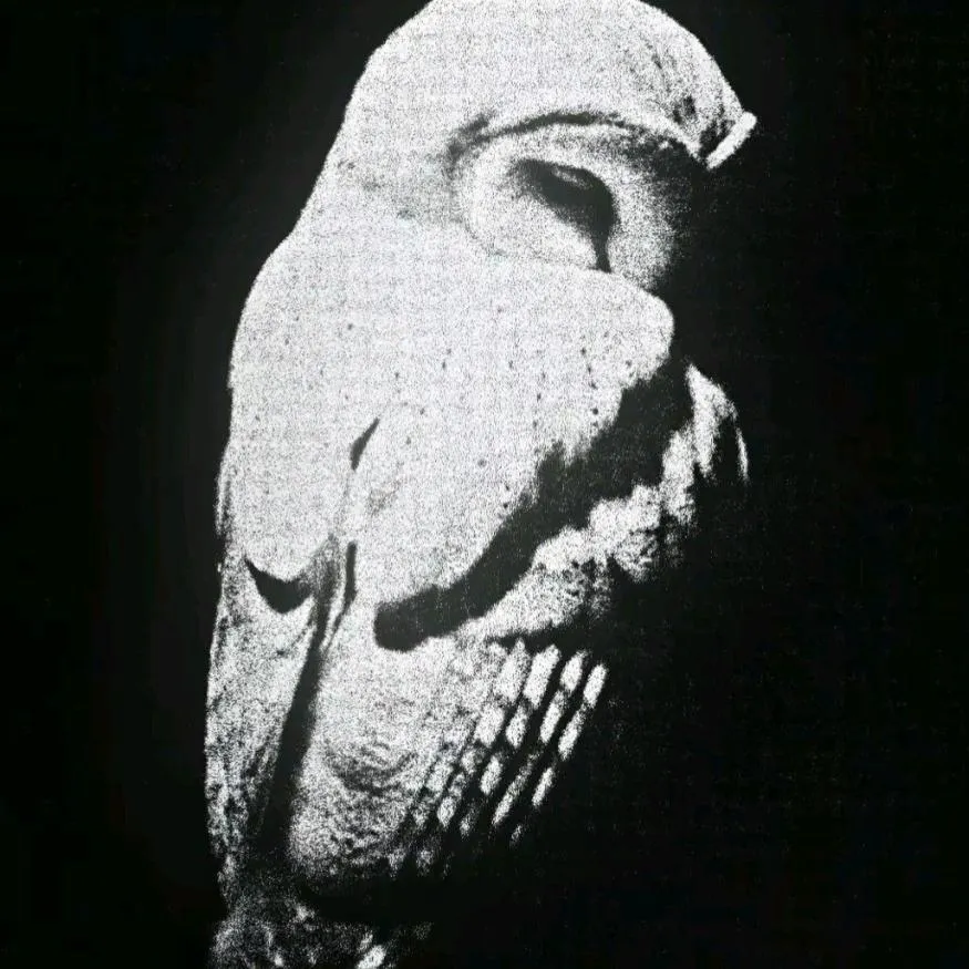 Owl PFP #20: A grainy black and white image shows a pale barn owl with its head bowed and eyes closed against a black background.