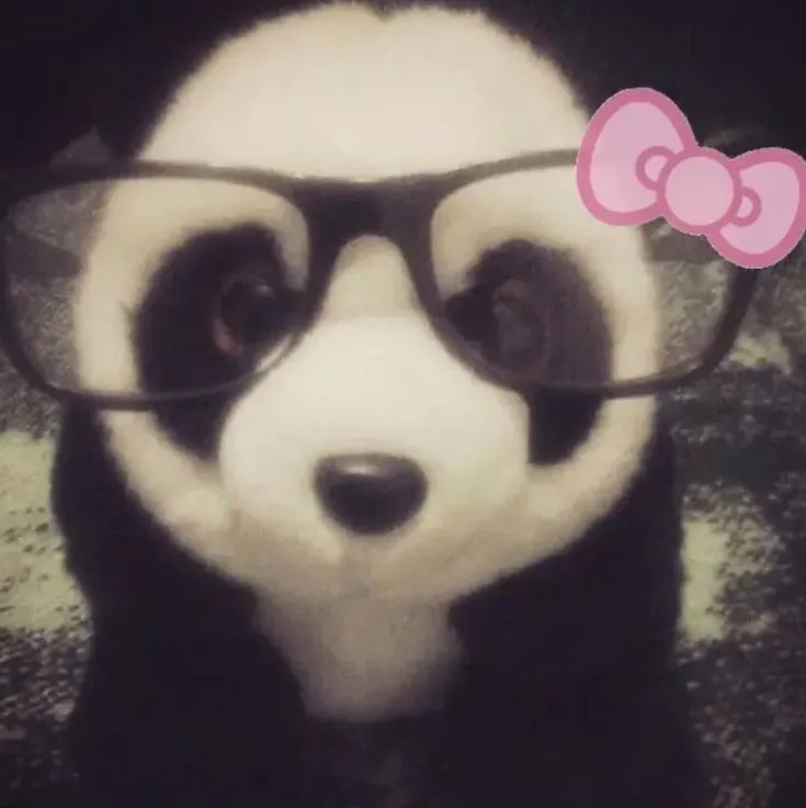 Panda PFP #10 (funny)