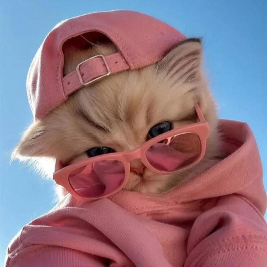 Pink PFP #14 (cat, cute)