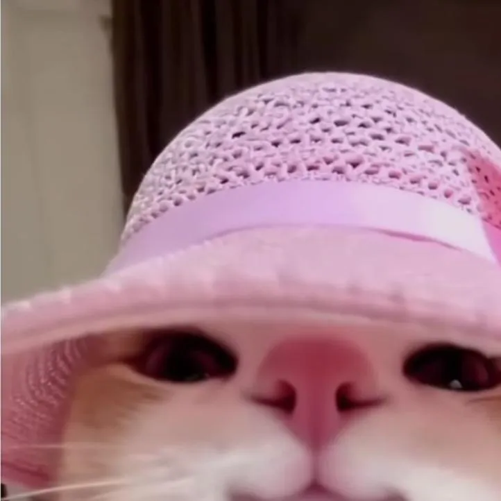Pink PFP #20 (cat, funny)