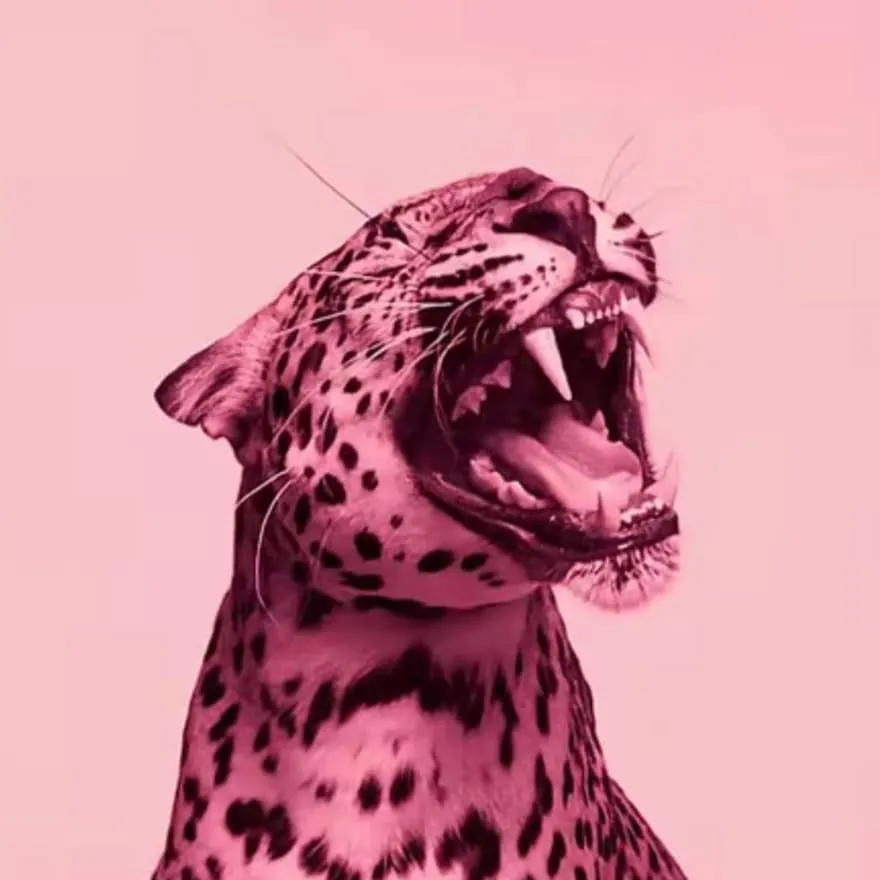 Pink PFP #32 (aesthetic, leopard)