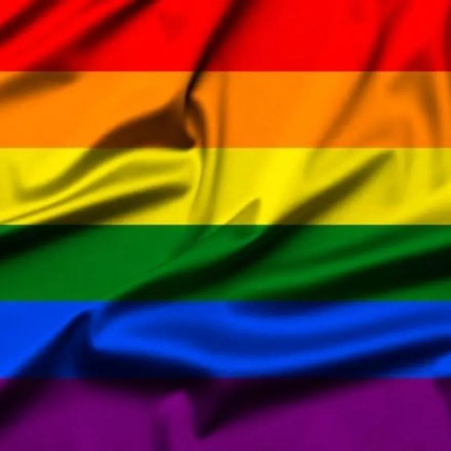 Pride PFP #18