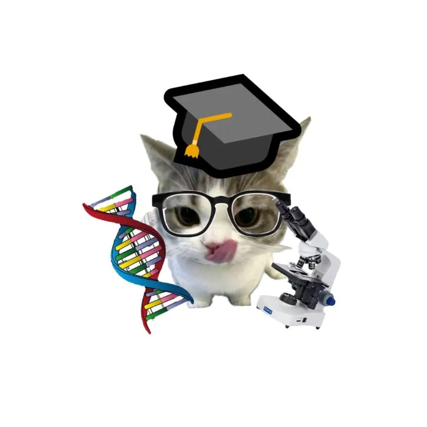 School PFP #15 (cute, funny)
