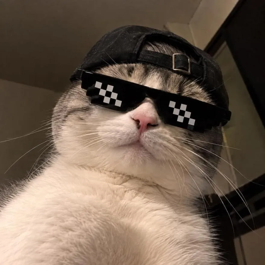 School PFP #18 (cool)