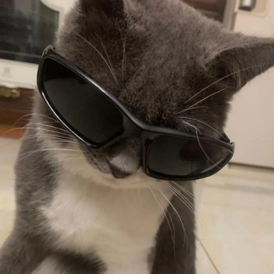School PFP #19 (cool, funny)