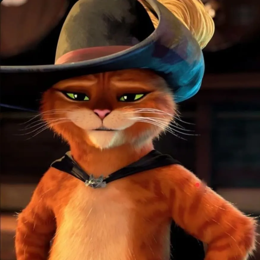 Shrek PFP #10 (cat, funny, puss in boots)