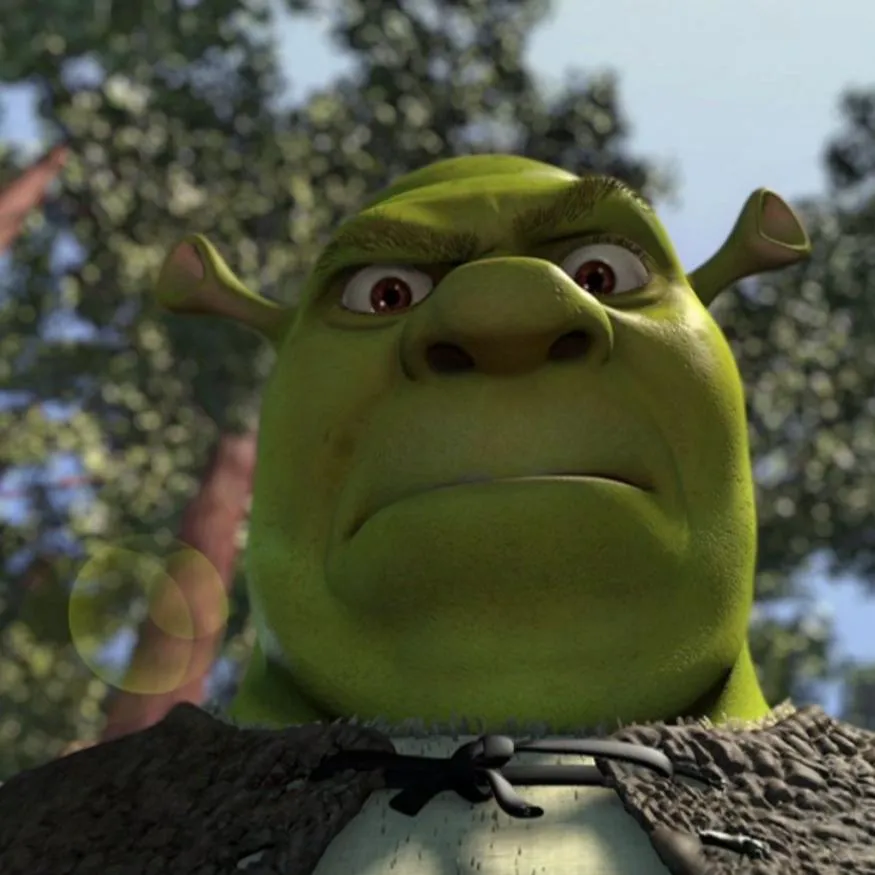 Shrek PFP #14: Seen from a low angle, Shrek frowns down with furrowed brows and pursed lips beneath tall trees and a pale blue sky.
