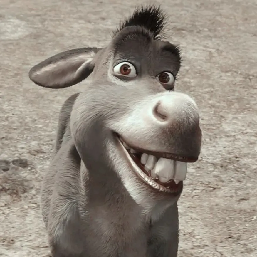 Shrek PFP #3 (donkey, funny, smiling)