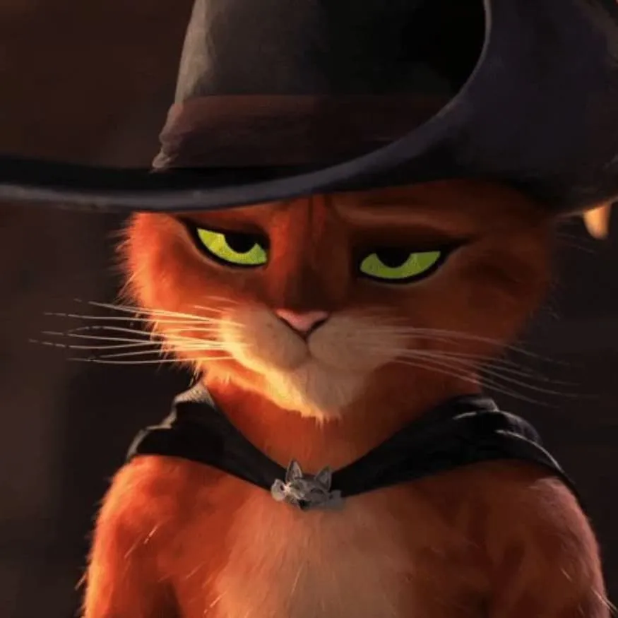 Shrek PFP #7 (cat, cool, puss in boots)