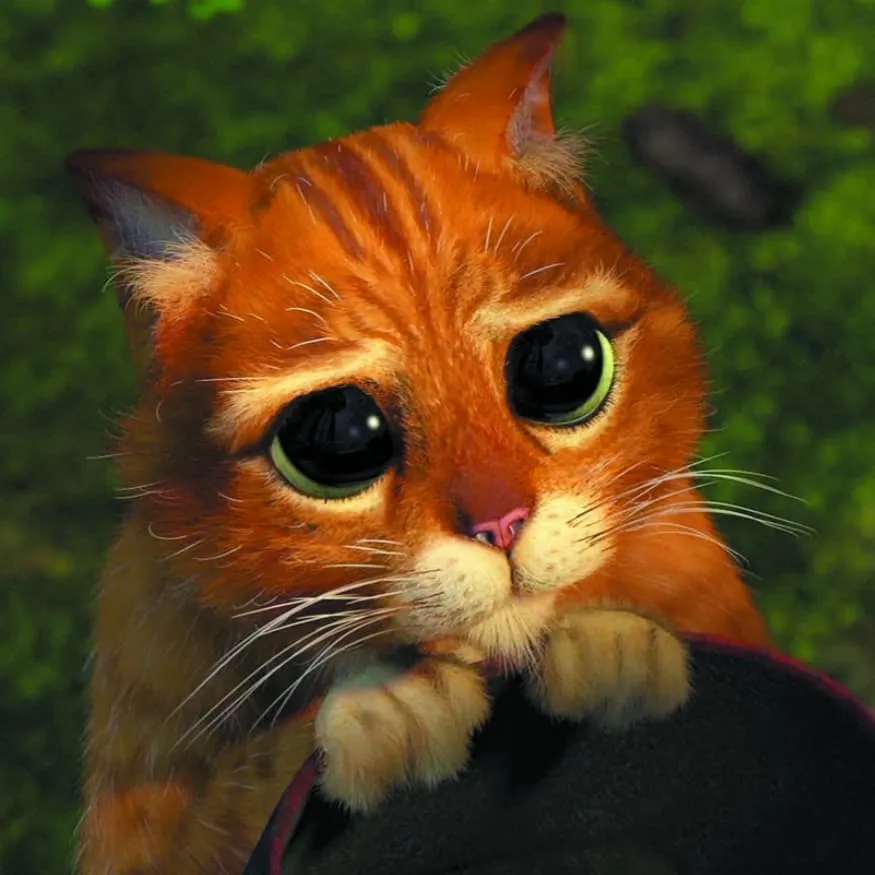 Shrek PFP #9 (cat, cute, puss in boots)