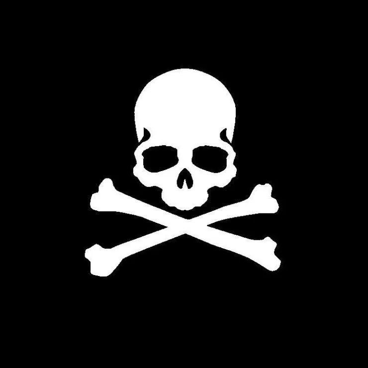 Skull PFP #26