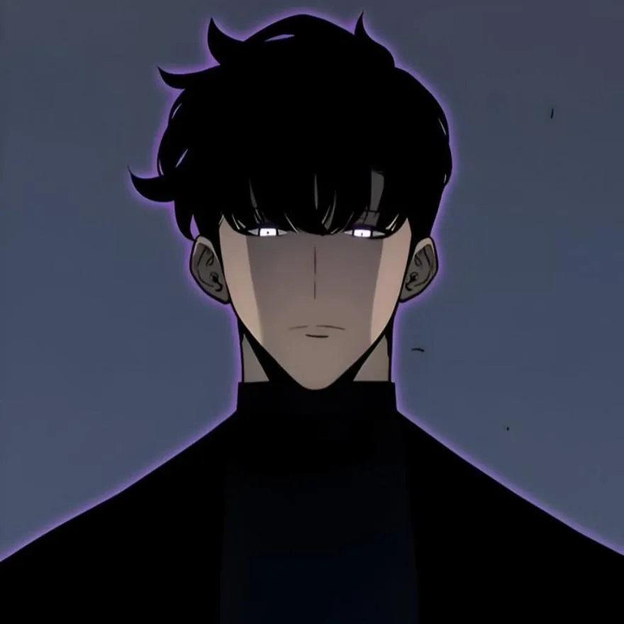 Solo Leveling PFP #18 (dark, jinwoo, manga)