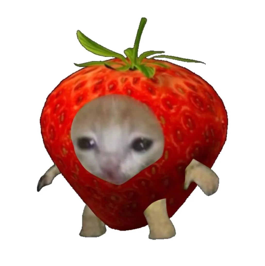Strawberry PFP #11 (cat, funny)