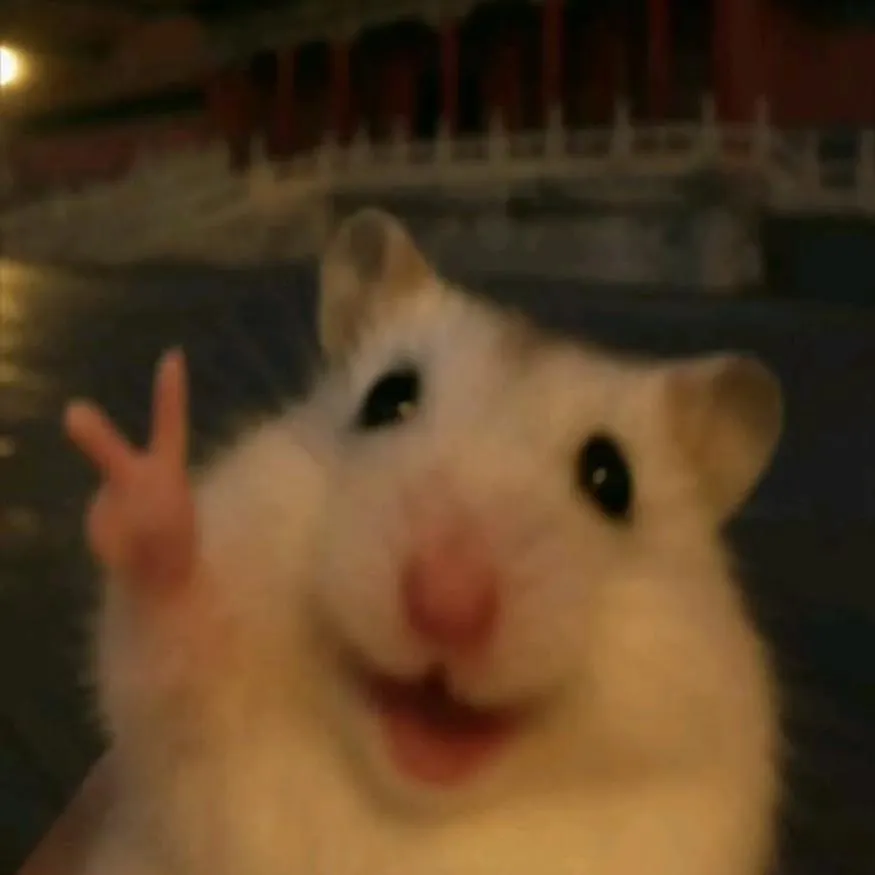 Tiktok PFP #19 (animal, funny, hamster)