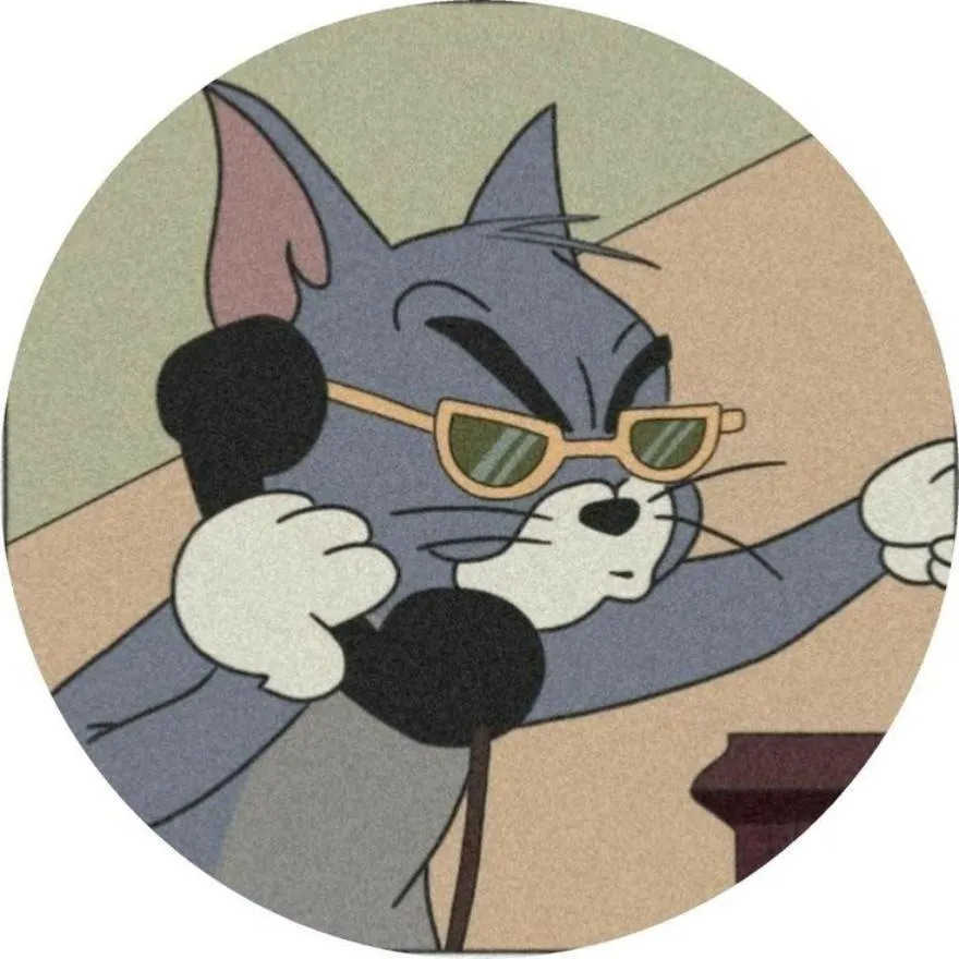 Tom And Jerry PFP #11