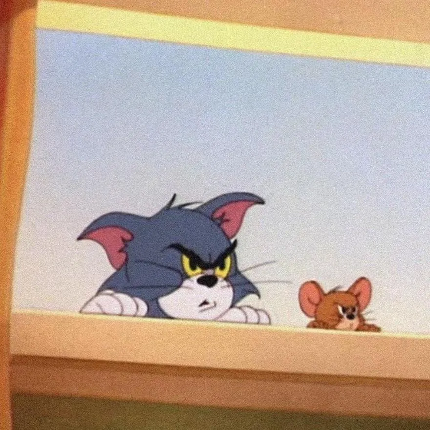 Tom And Jerry PFP #14