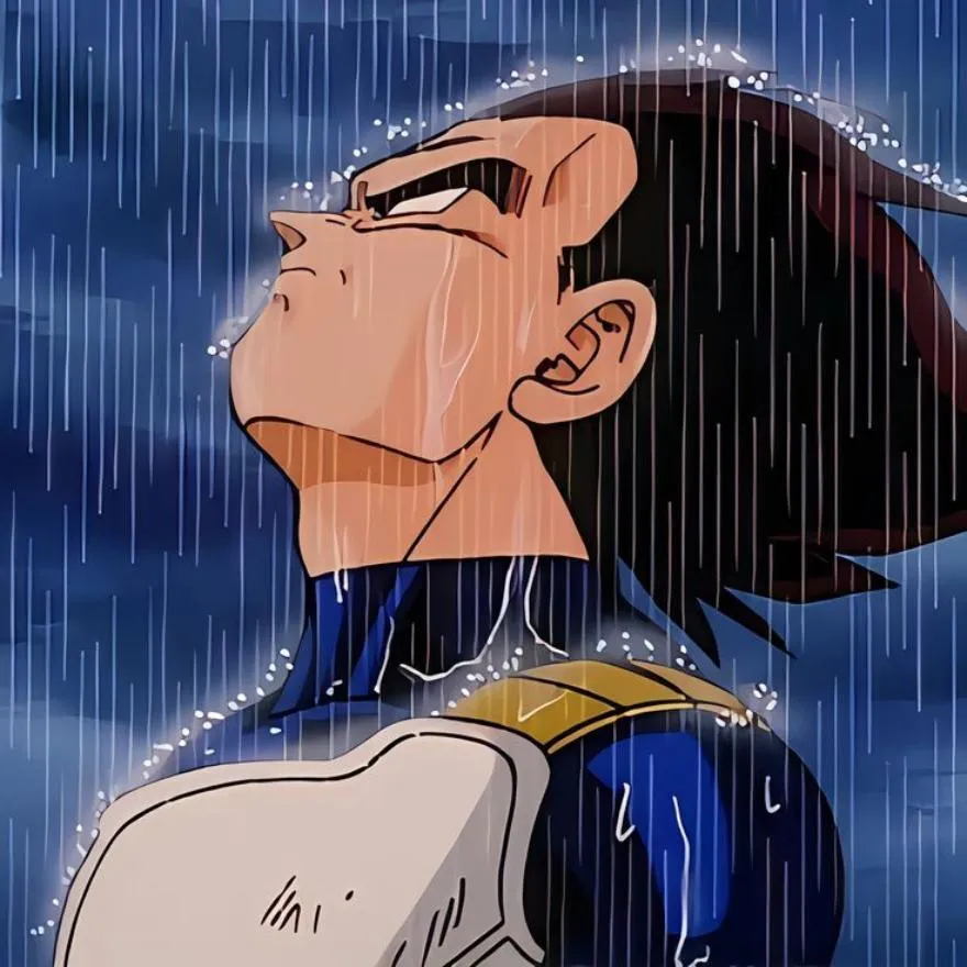 Vegeta PFP #12