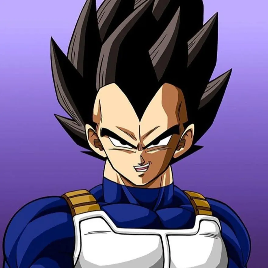 Vegeta PFP #14