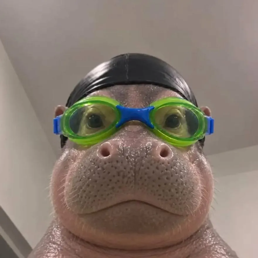 Weird PFP #4 (animal, funny)