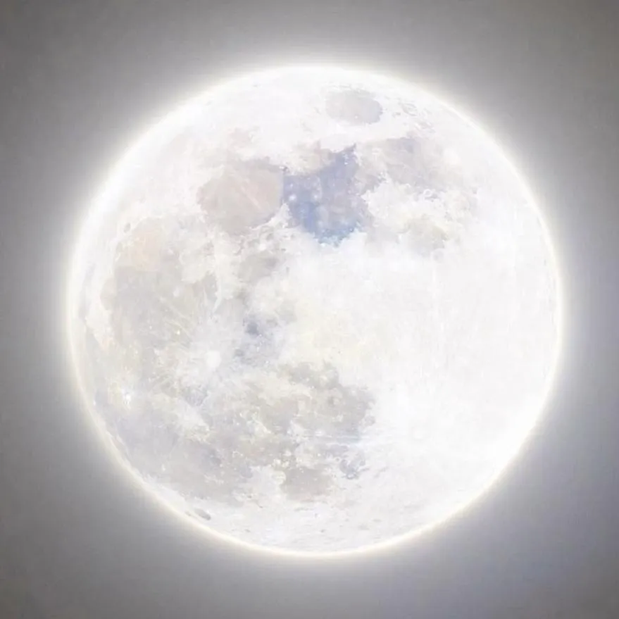 White PFP #27