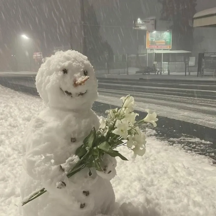 Winter PFP #1 (aesthetic)