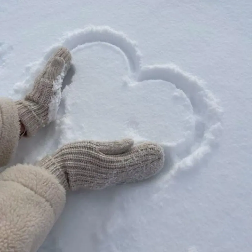 Winter PFP #19 (aesthetic)