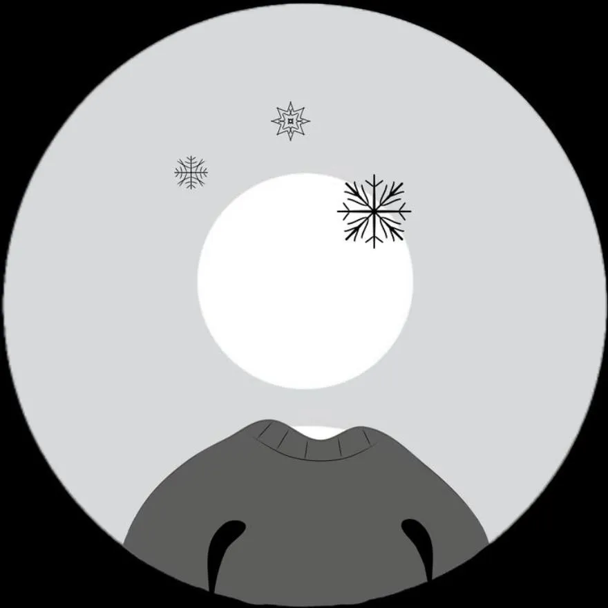 Winter PFP #5 (aesthetic)